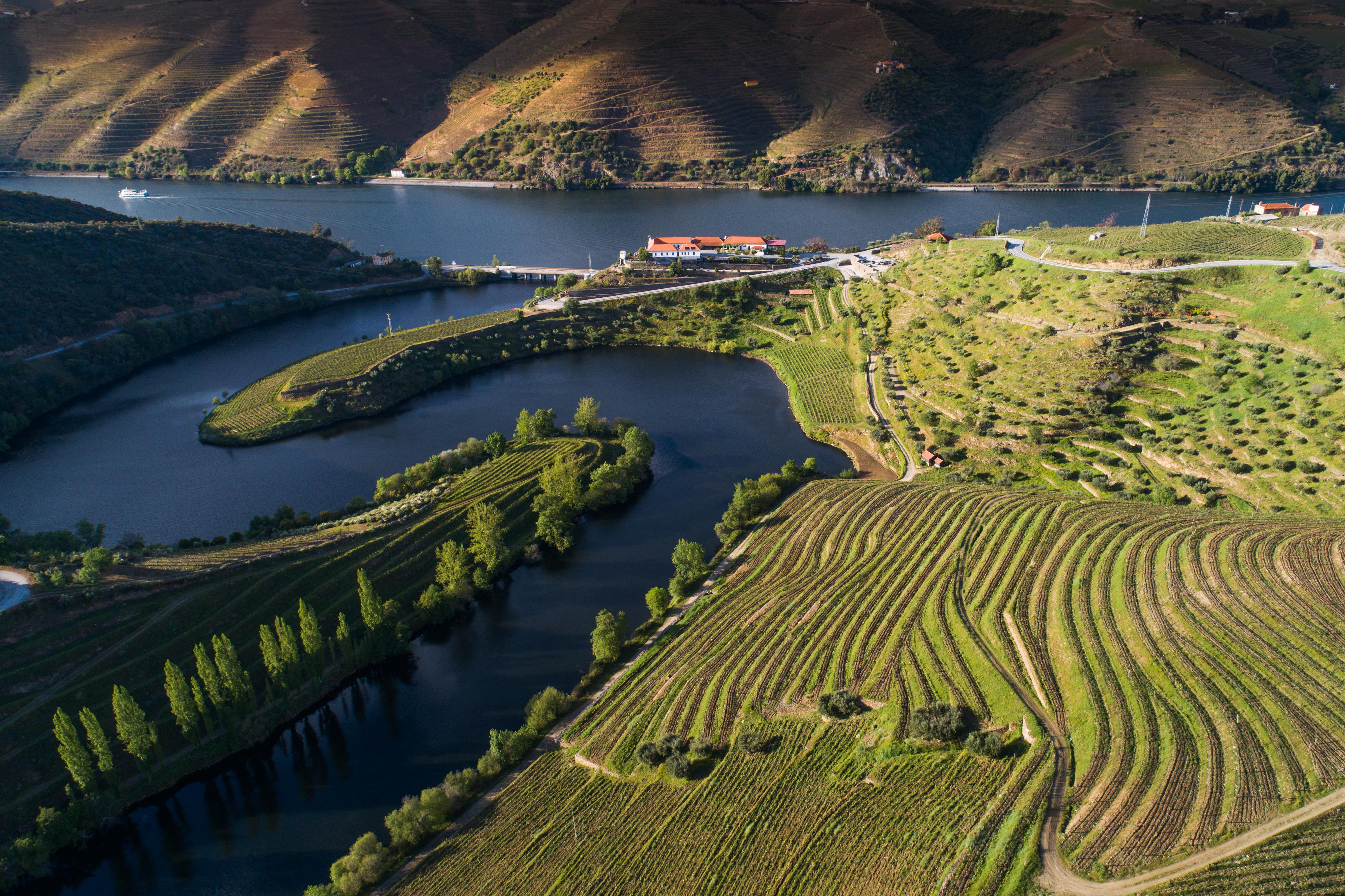 Vila Gale Douro Vineyards Армамар Екстер'єр фото